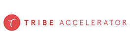 Tribe Accelerator